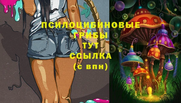 mdpv Баксан