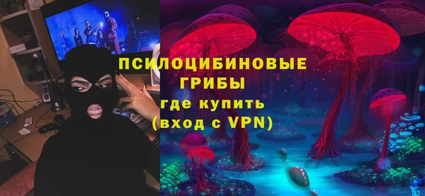 бутират Пересвет
